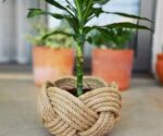 A planter made of jute that will upgrade the look of your indoor space